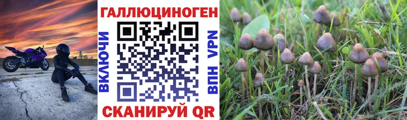 Псилоцибиновые грибы мицелий Ахтубинск