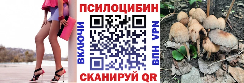 Галлюциногенные грибы Psilocybine cubensis  Ахтубинск 